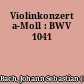 Violinkonzert a-Moll : BWV 1041