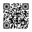 QR Code (код быстрого отклика)