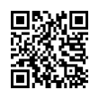 QR Code (код быстрого отклика)