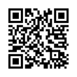 QR Code (код быстрого отклика)