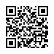 QR Code (код быстрого отклика)