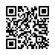 QR Code (код быстрого отклика)