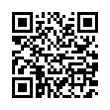 QR Code (код быстрого отклика)