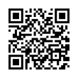 QR Code (код быстрого отклика)