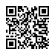 QR Code (код быстрого отклика)