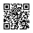 QR Code (код быстрого отклика)