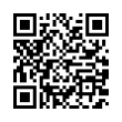 QR Code (код быстрого отклика)