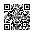 QR Code (код быстрого отклика)