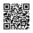 QR Code (код быстрого отклика)