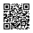 QR Code (код быстрого отклика)