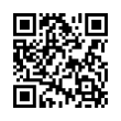 QR Code (код быстрого отклика)