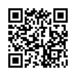 QR Code (код быстрого отклика)