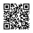 QR Code (код быстрого отклика)