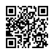 QR Code (код быстрого отклика)