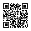 QR Code (код быстрого отклика)