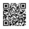 QR Code (код быстрого отклика)