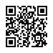 QR Code (код быстрого отклика)