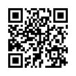 QR Code (код быстрого отклика)