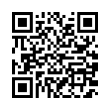 QR Code (код быстрого отклика)