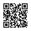 QR Code (код быстрого отклика)