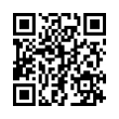 QR Code (код быстрого отклика)