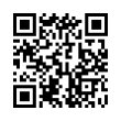 QR Code (код быстрого отклика)