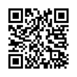QR Code (код быстрого отклика)
